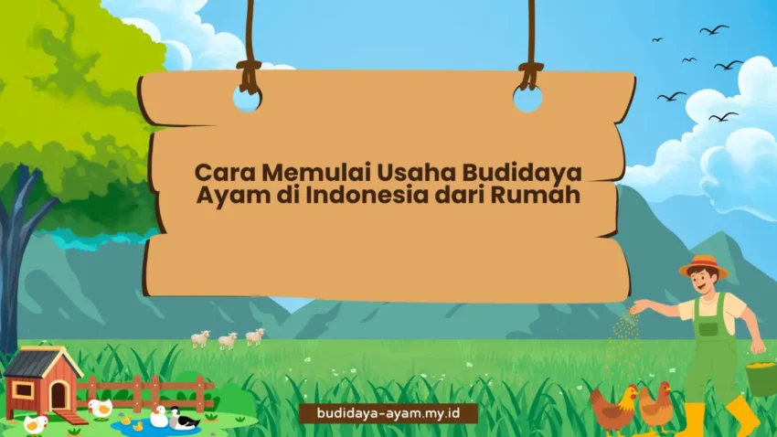 PELATIHAN CARA MEMULAI USAHA BUDIDAYA AYAM DI INDONESIA DARI RUMAH JAKARTA